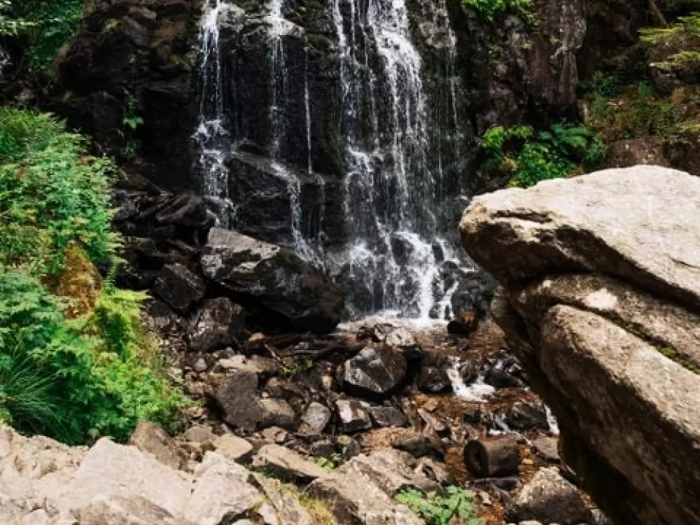 Sunêlia Camping Les Nids Du Lac 4 étoiles★★★★