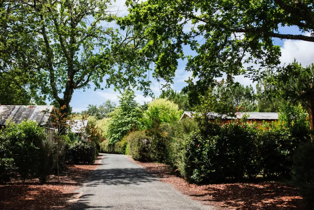 Camping Domaine Les Oréades 5 étoiles★★★★★