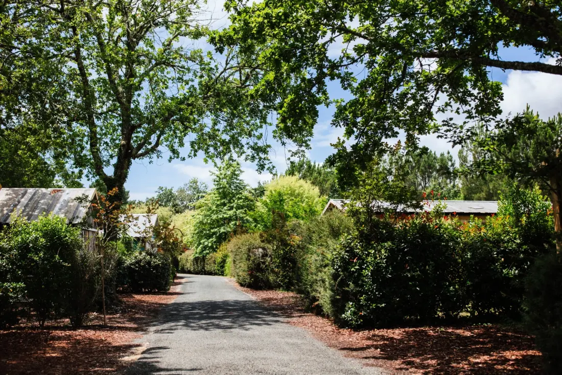Camping Domaine Les Oréades 5 étoiles★★★★★