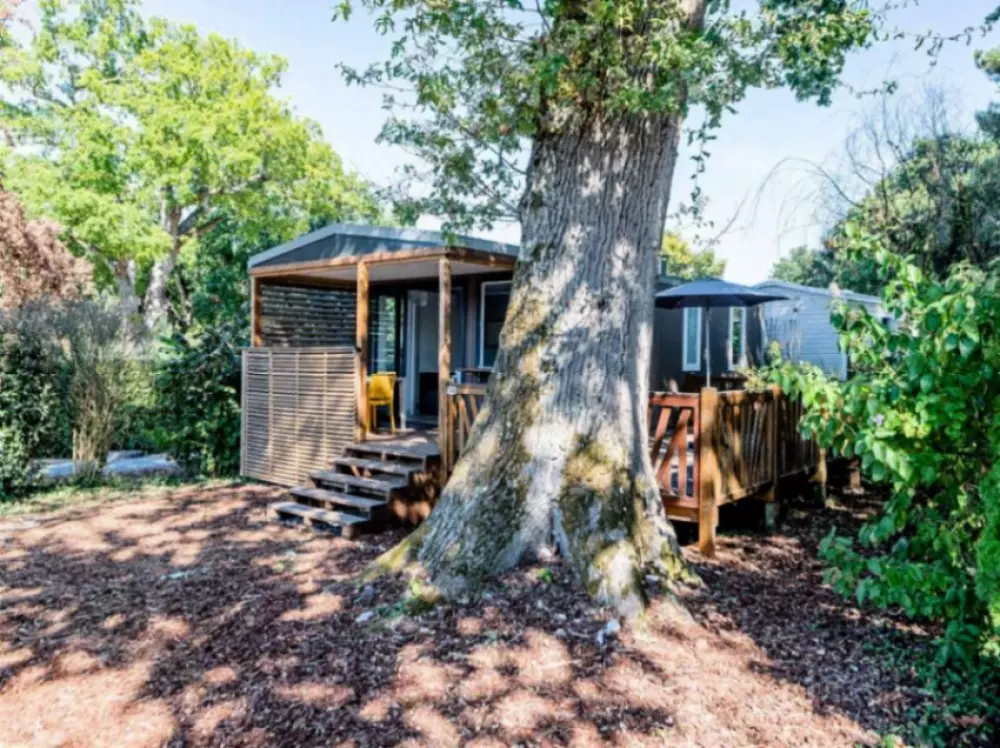 Camping Domaine Les Oréades 5 étoiles★★★★★