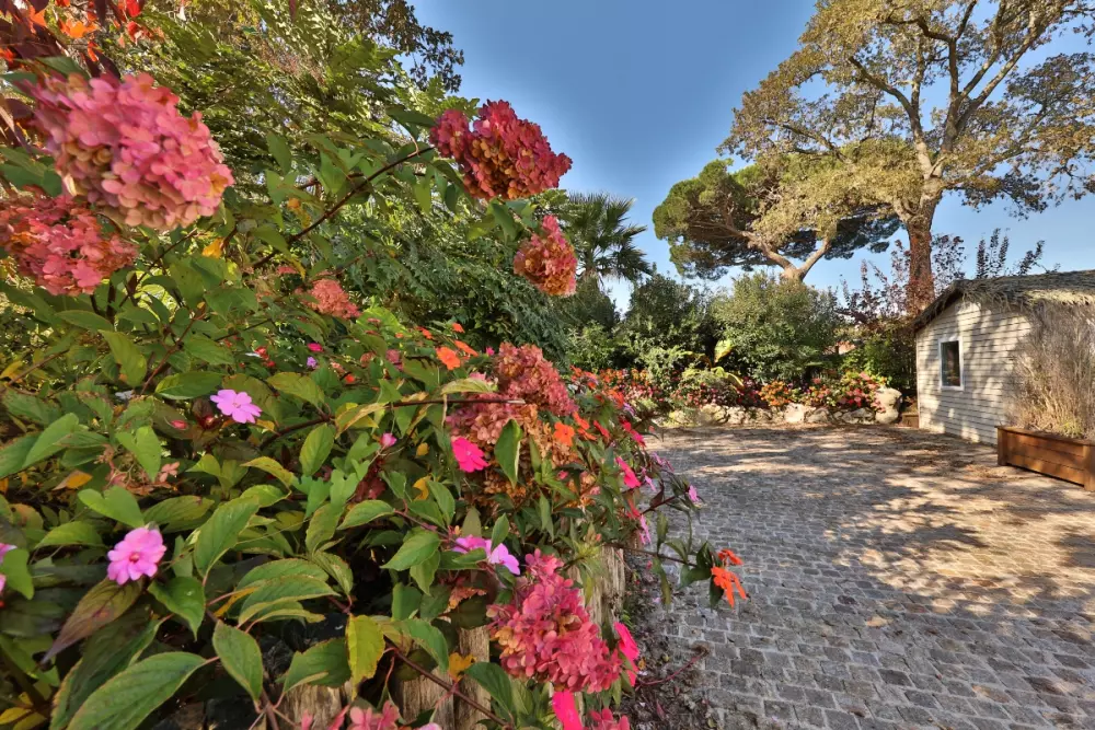 Camping Domaine Les Oréades 5 étoiles★★★★★