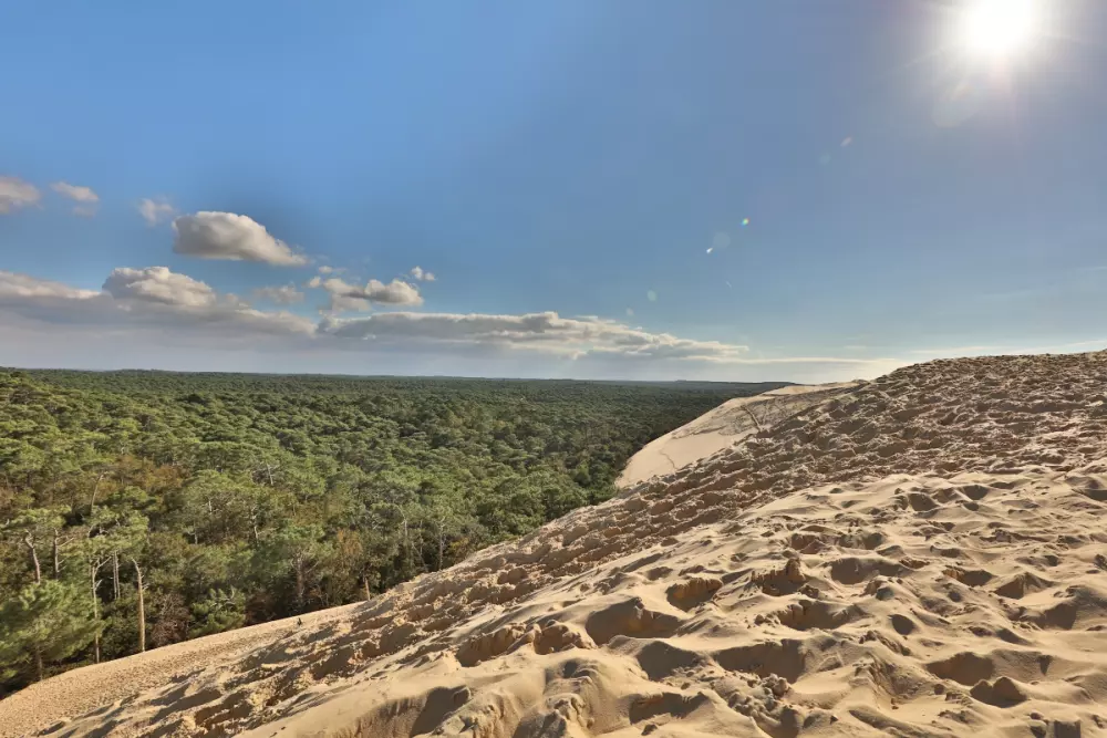 Camping Domaine Les Oréades 5 étoiles★★★★★