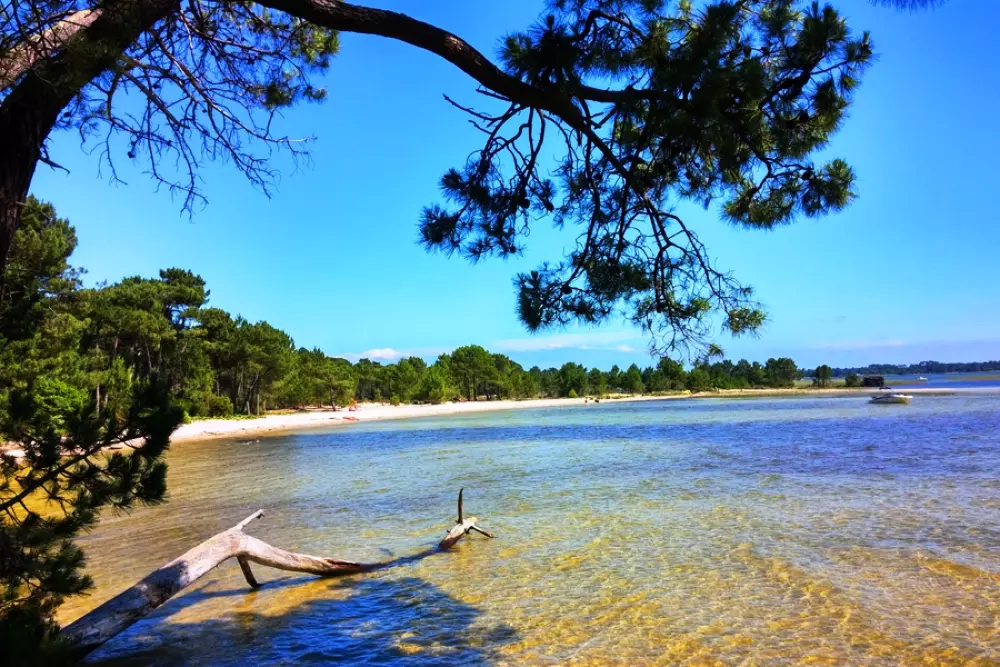 Mobilandes au Camping Lou Boustaricq 44 étoiles★★★★