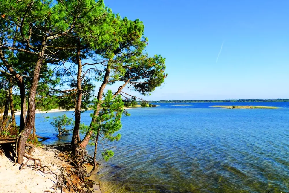 Mobilandes au Camping Lou Boustaricq 44 étoiles★★★★