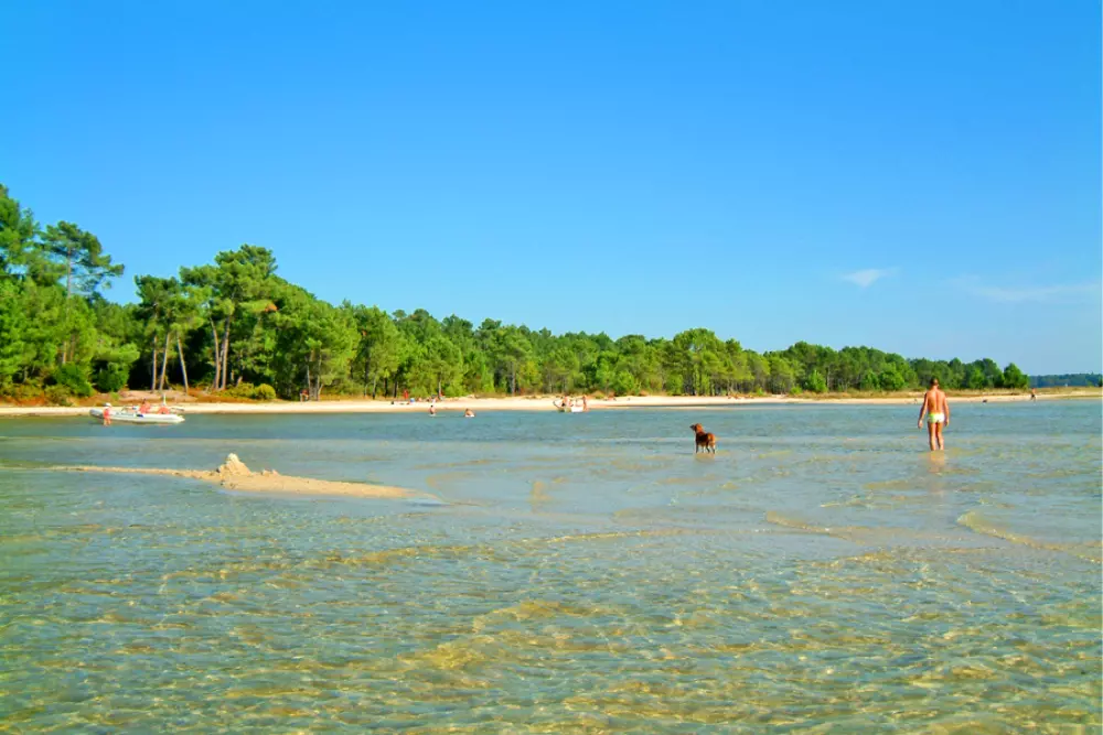 Mobilandes au Camping Lou Boustaricq 44 étoiles★★★★