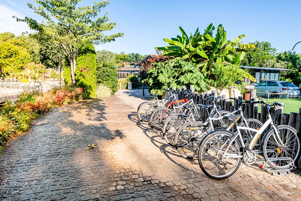 Camping Domaine Les Oréades 5 étoiles★★★★★