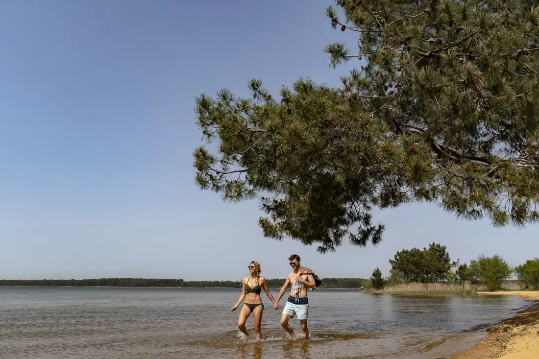 Camping Sandaya Sanguinet Plage5 étoiles★★★★★