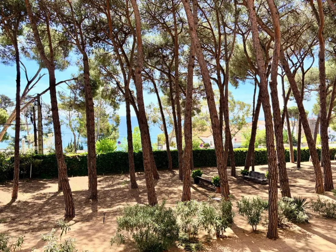 Location de Vacances Sant Antoni de Calonge 29
