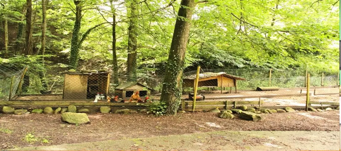 Camping Abadesses3 étoiles★★★