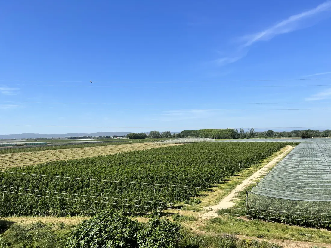 Location de Vacances Sant Pere Pescador 63
