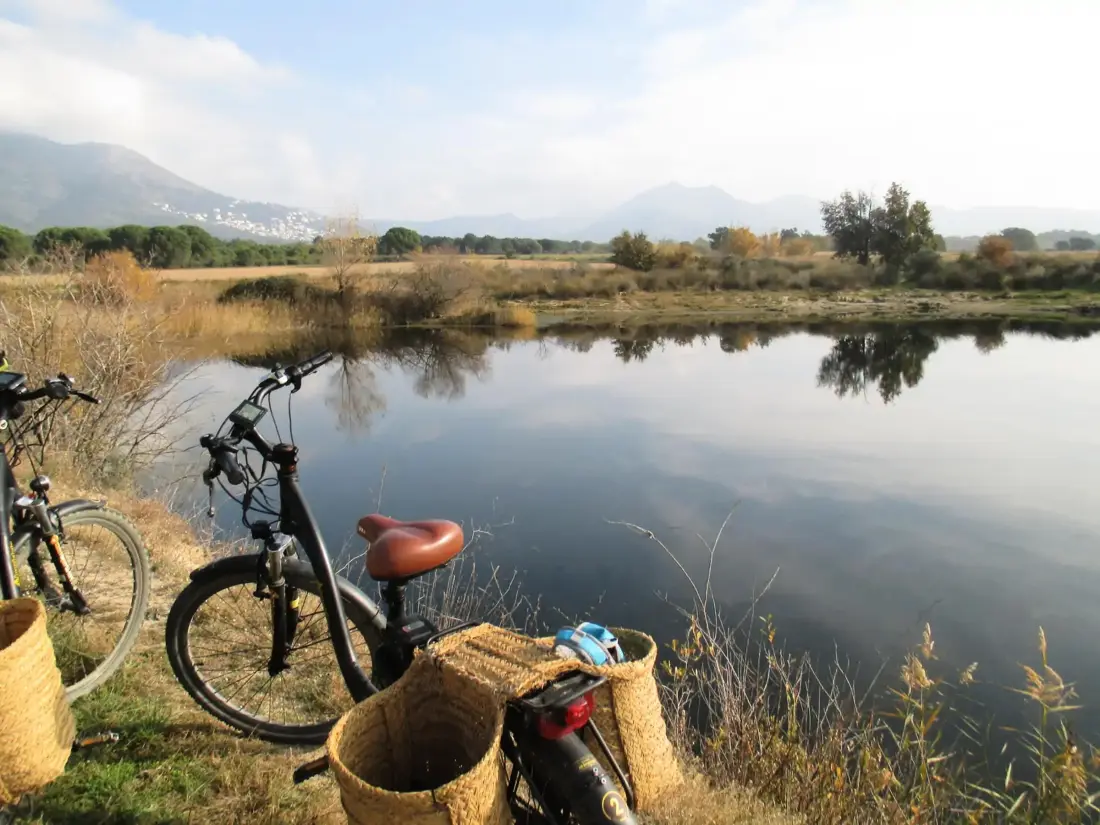 Location de Vacances Sant Pere Pescador 67
