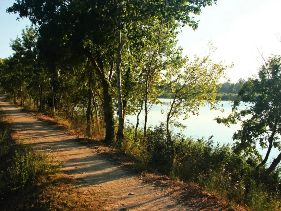 Location de Vacances Sant Pere Pescador 67