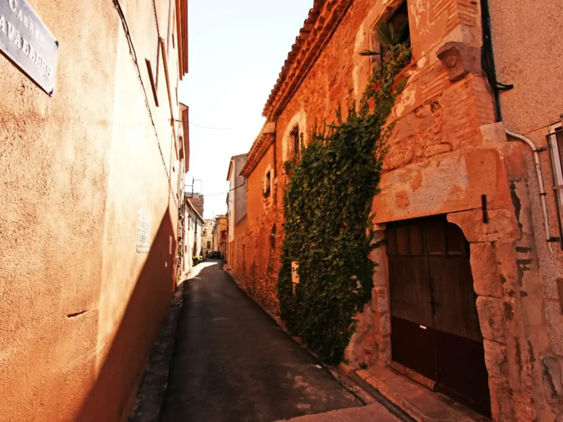 Location de Vacances Sant Pere Pescador 67