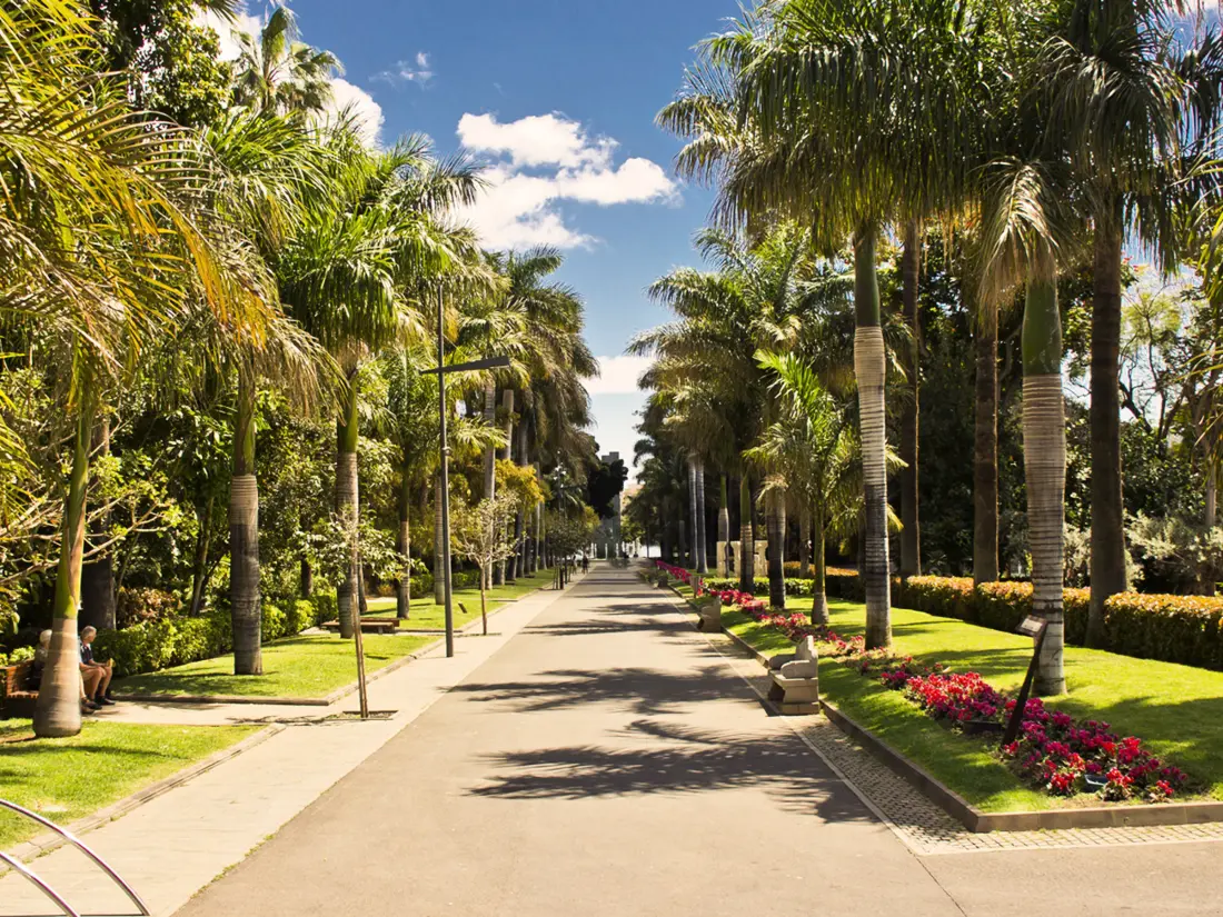 Location de Vacances Santa Cruz de Tenerife 10