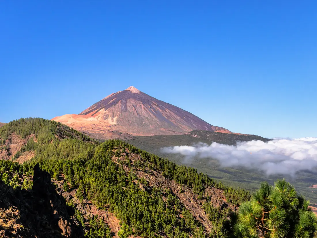 Location de Vacances Santa Cruz de Tenerife 10
