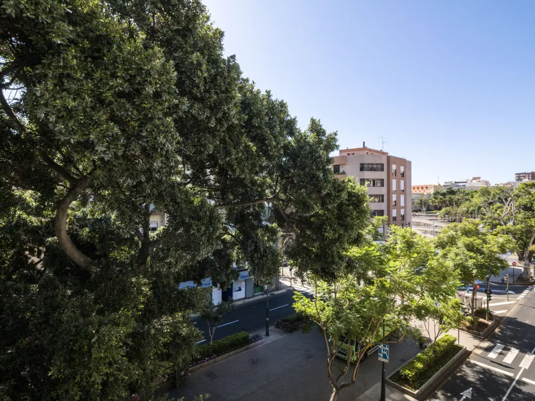 Location de Vacances Santa Cruz de Tenerife 10