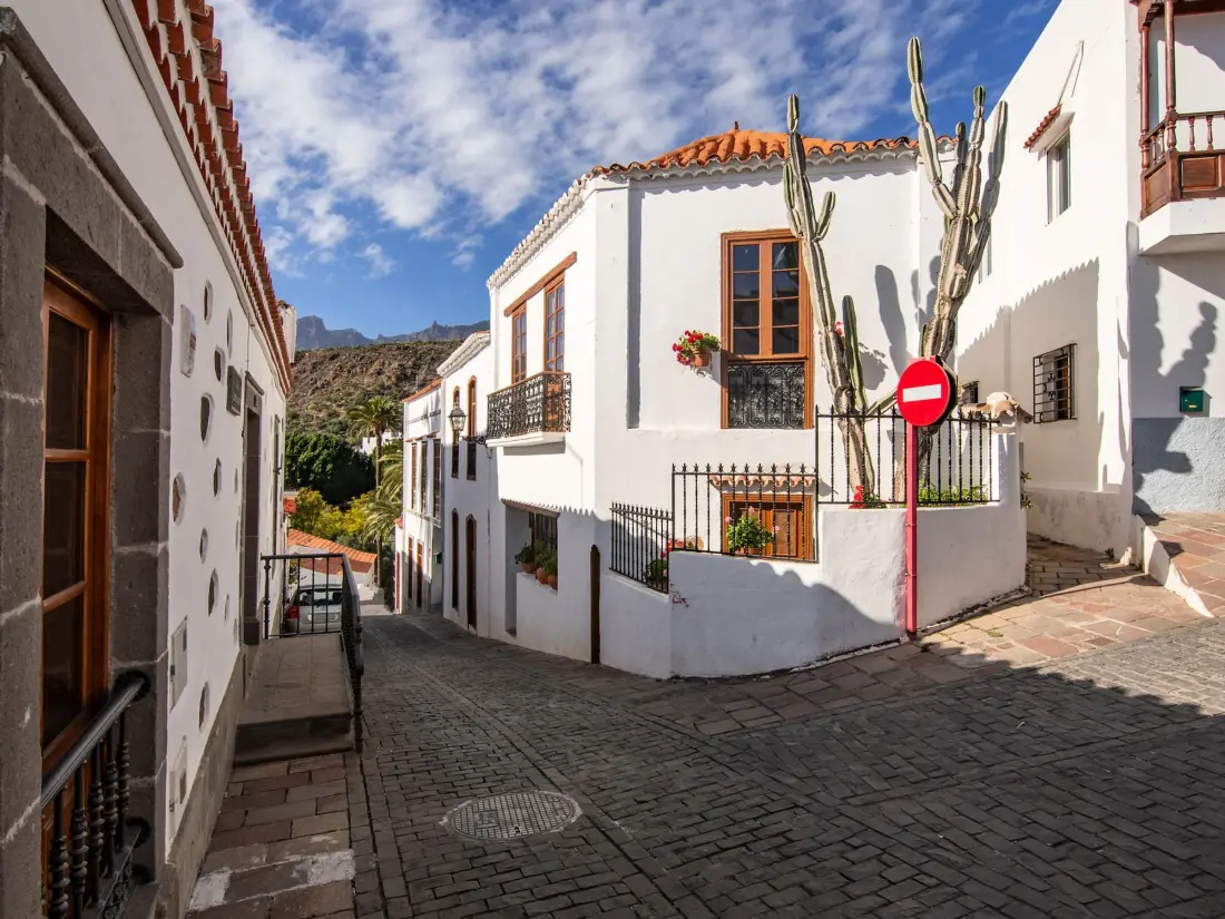 Maison de Vacances Santa Lucía de Tirajana 15