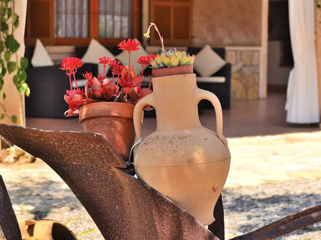 Maison de Vacances Santa Margalida 10