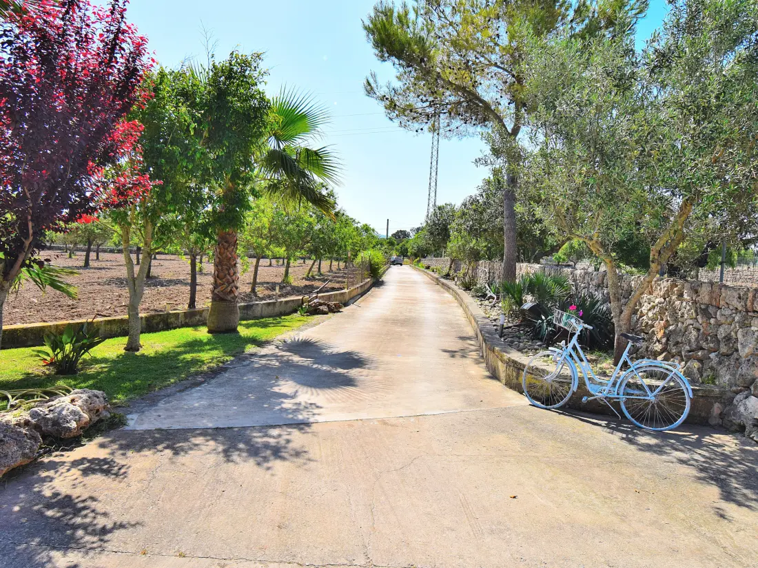 Maison de Vacances Santa Margalida 12
