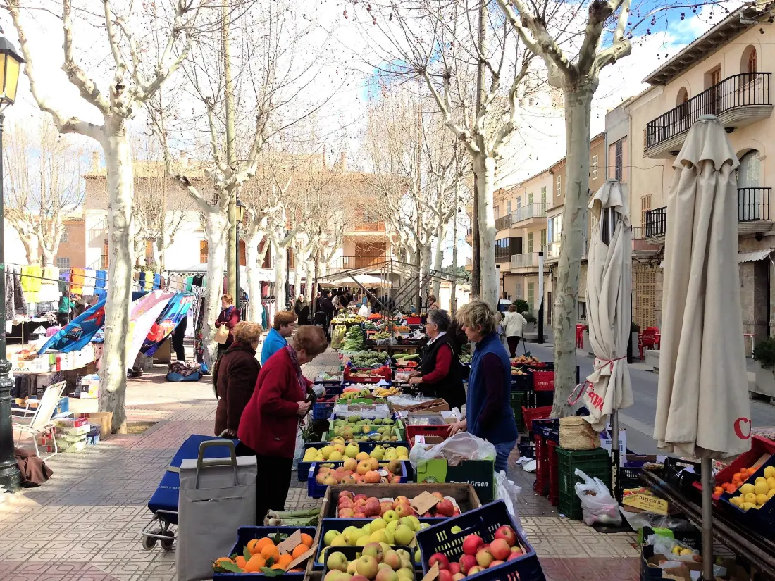 Maison de Vacances Santa Margalida 13