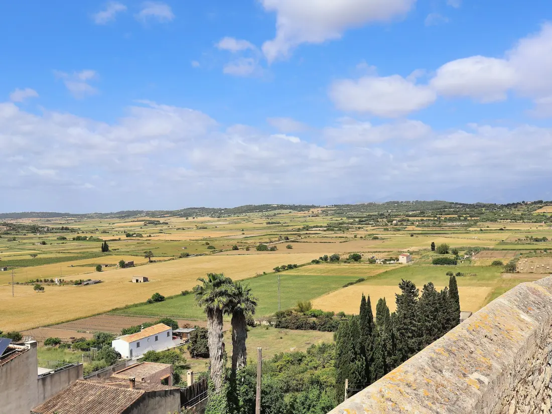 Maison de Vacances Santa Margalida 14