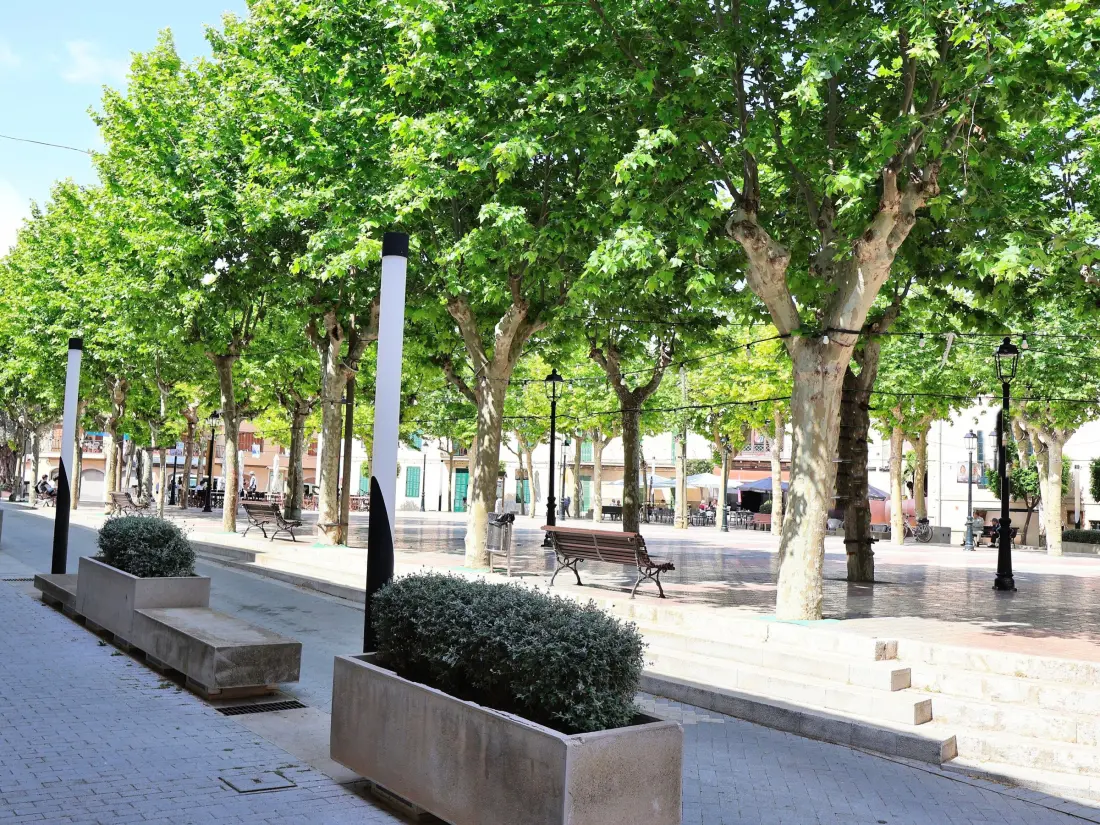 Maison de Vacances Santa Margalida 14