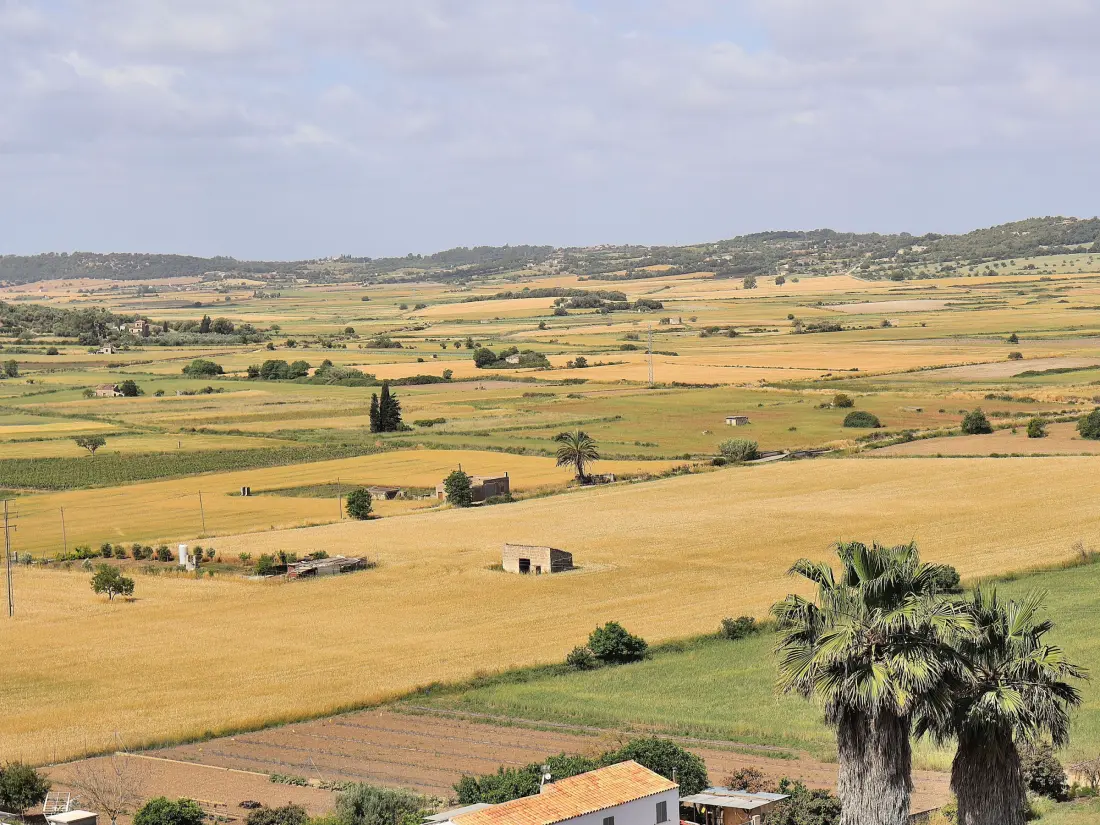 Maison de Vacances Santa Margalida 14
