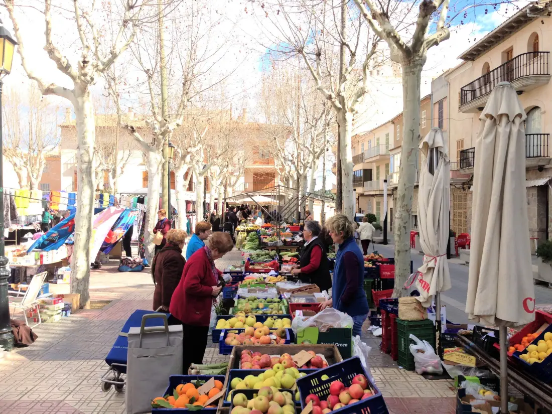 Maison de Vacances Santa Margalida 16