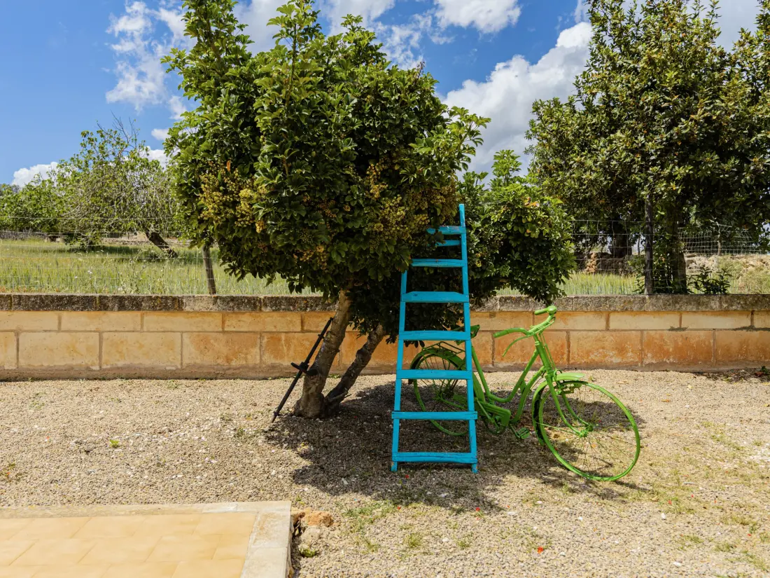 Maison de Vacances Santa Margalida 19