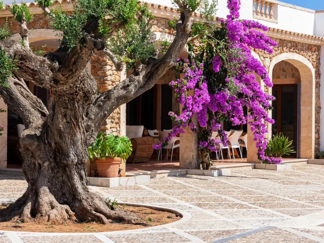 Maison de Vacances Santa Margalida 22