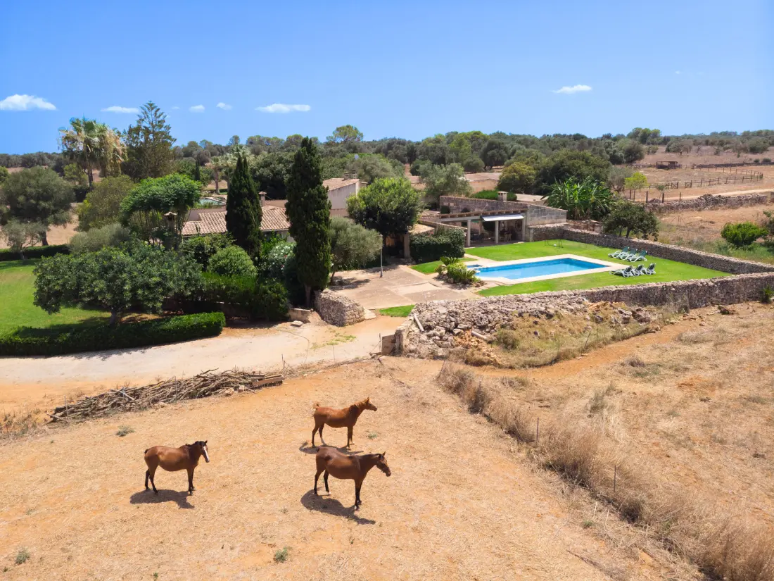 Maison de Vacances Santa Margalida 27