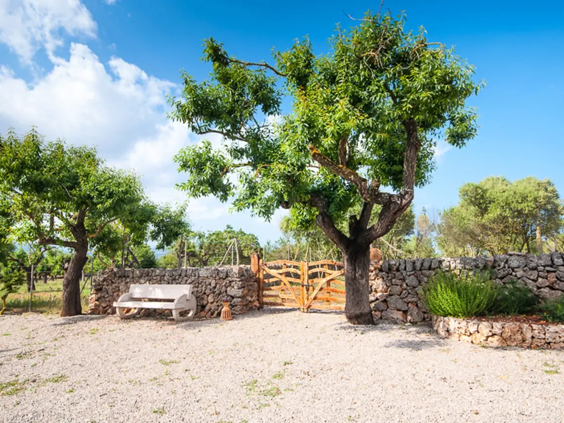 Maison de Vacances Santa Margalida 29