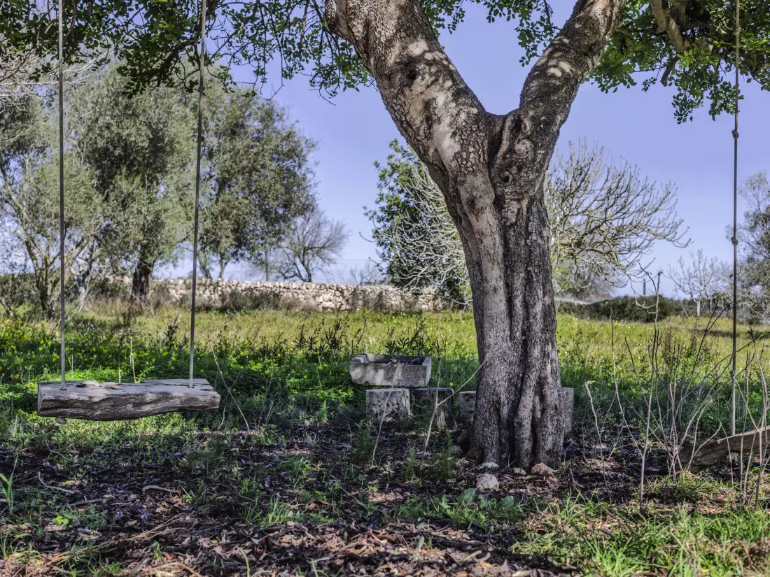 Maison de Vacances Santa Margalida 31