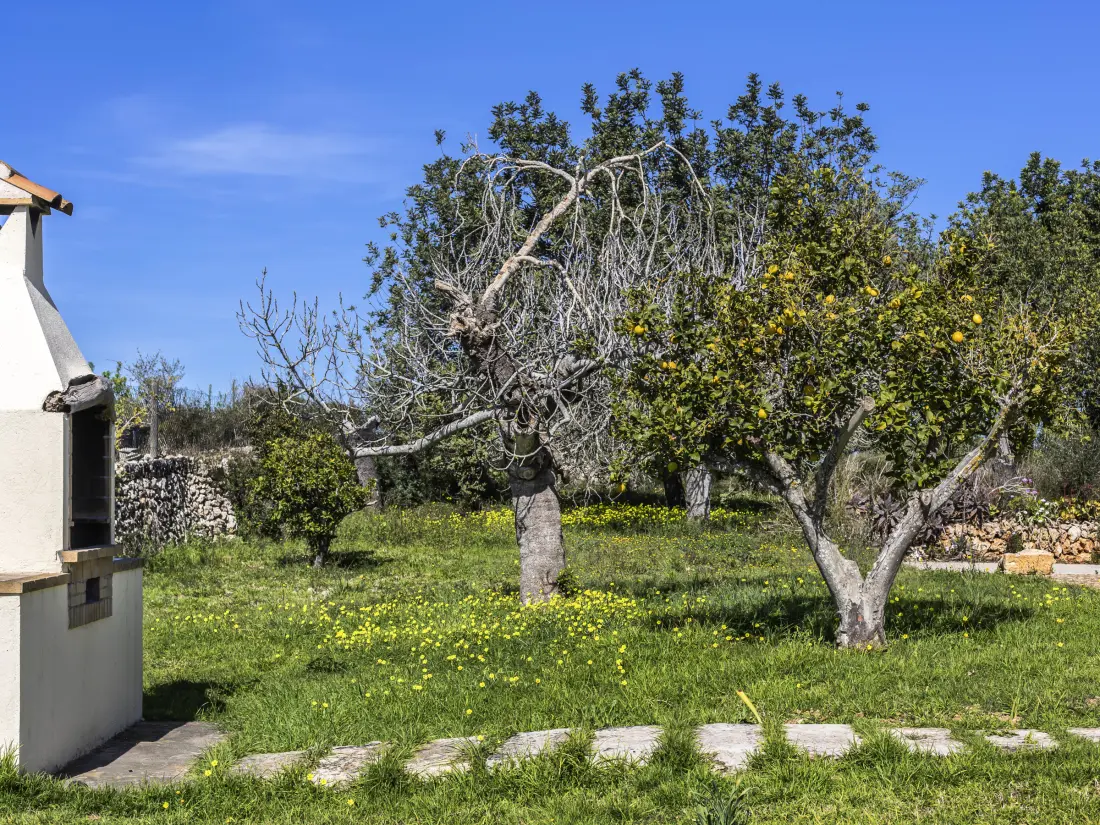 Maison de Vacances Santa Margalida 31