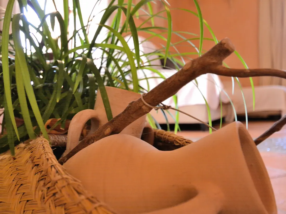 Maison de Vacances Santa Margalida 9