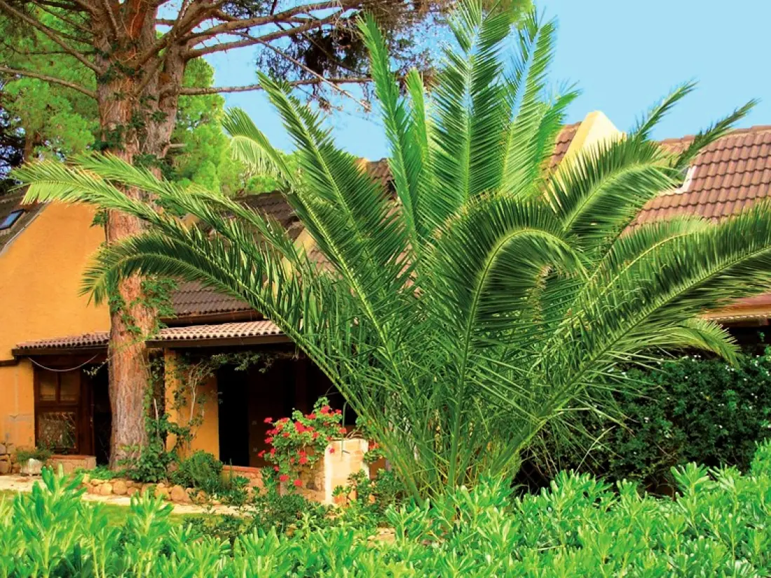 Résidence Cala Verde