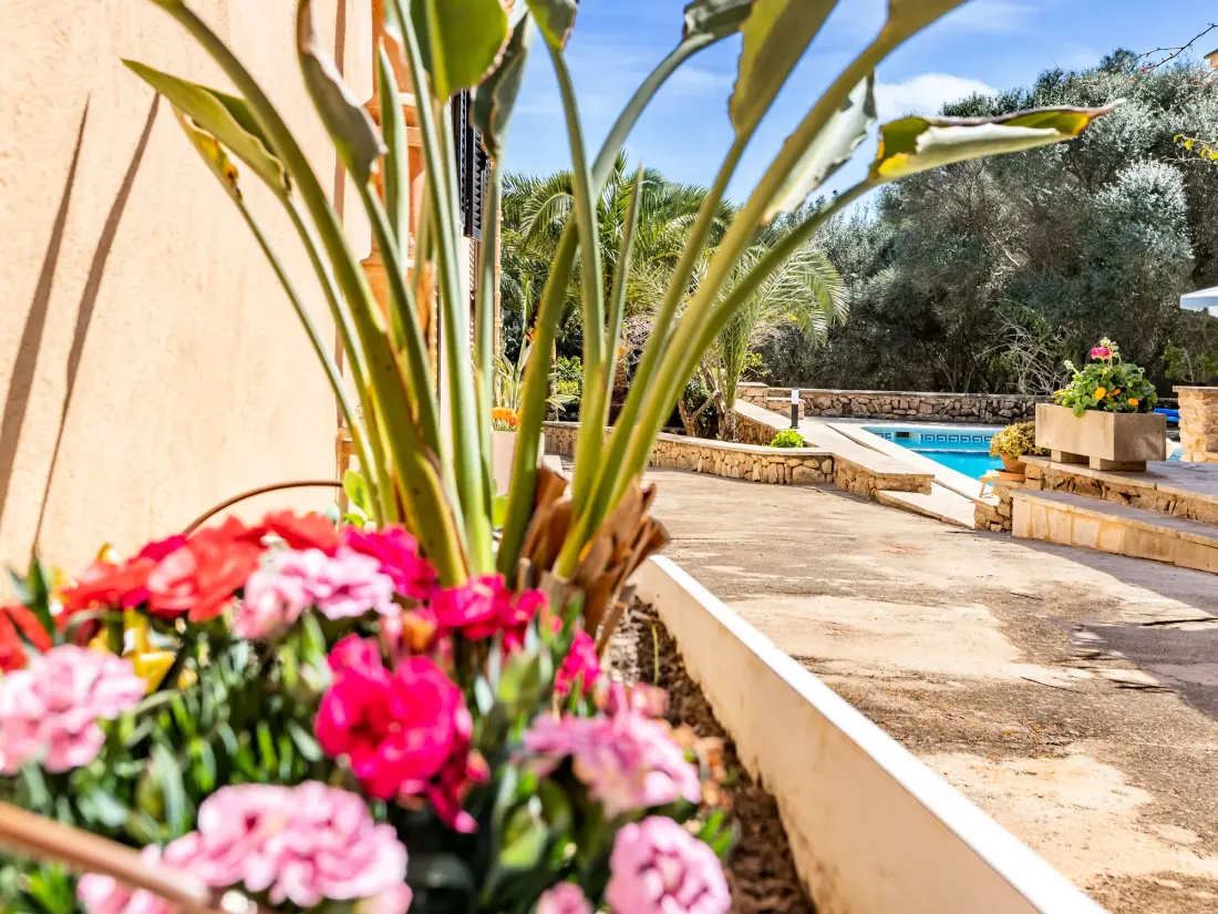 Maison de Vacances Santanyí 46