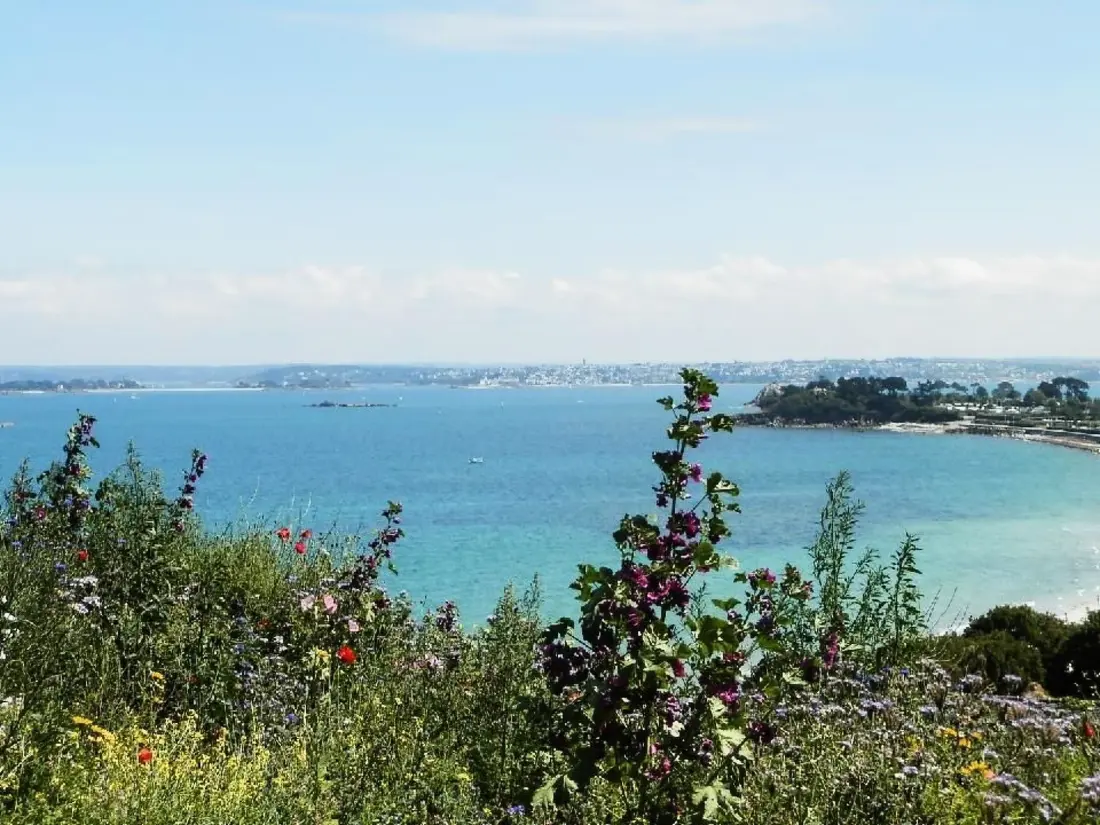 Résidence "Tromeal Lasalle" blick auf das Meer. Mit 4 Ster