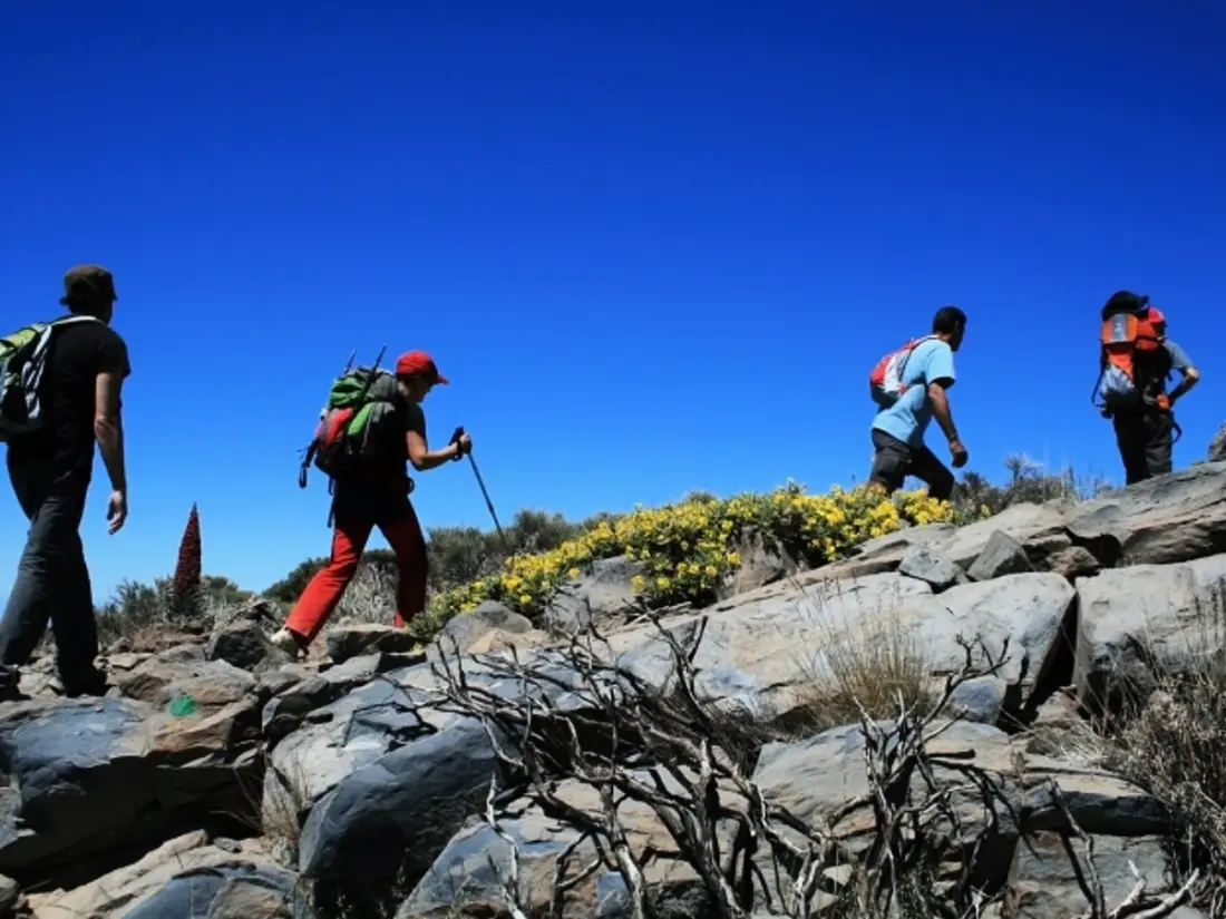 Location de Vacances Santiago del Teide 5