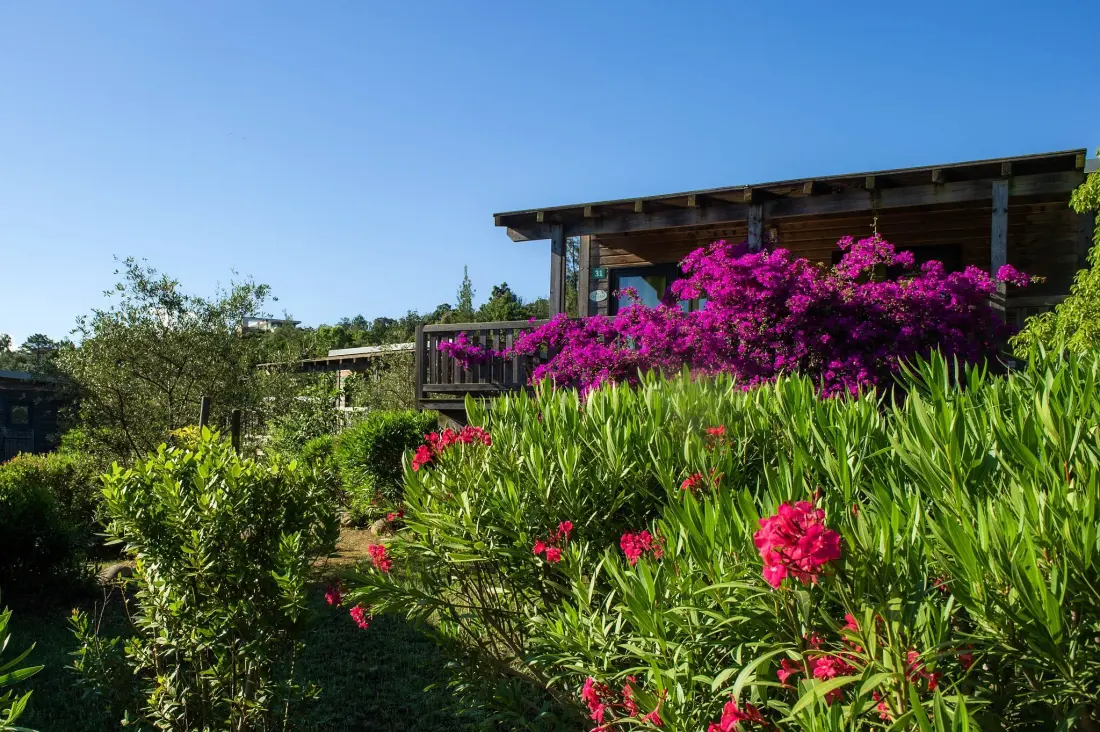 Camping Sole Di Sari