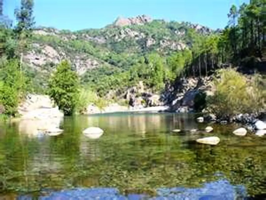 Location de Vacances Sari-Solenzara 15