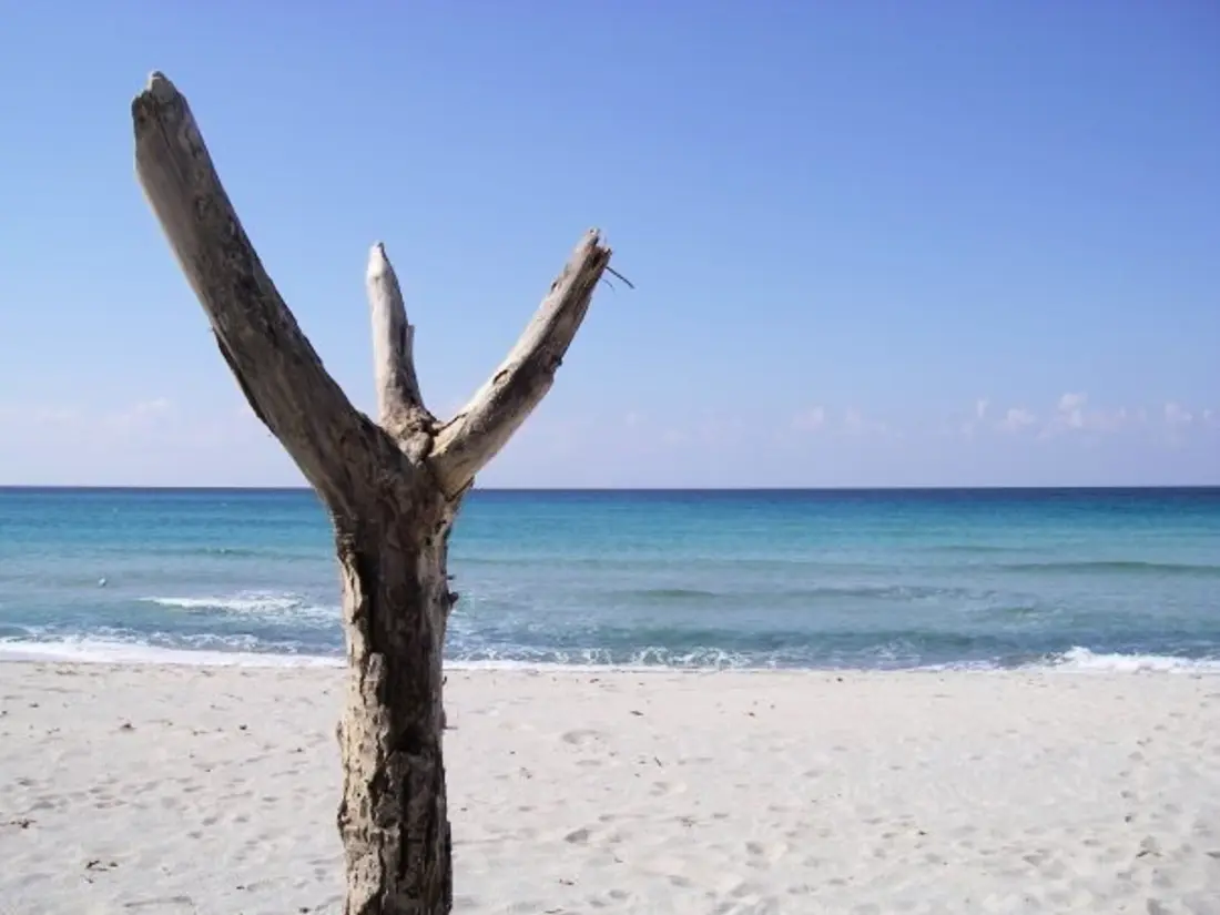 Location de Vacances Sari-Solenzara 4