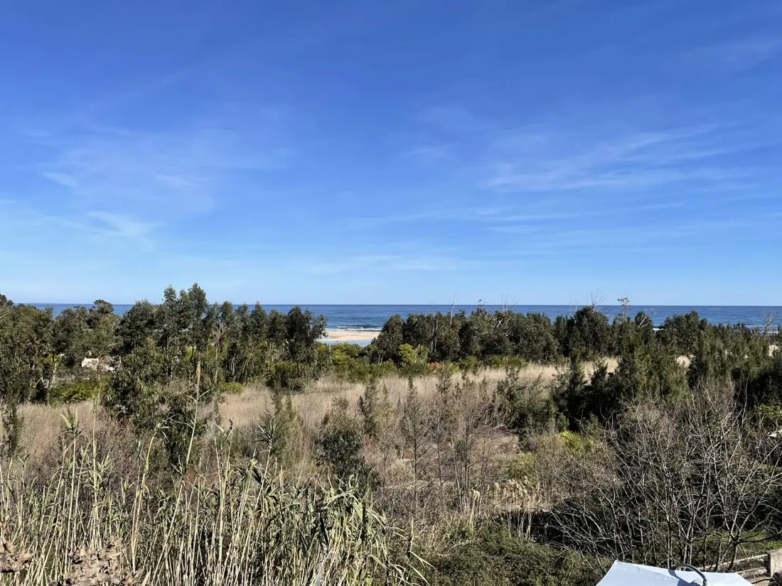 Location de Vacances Sari-Solenzara 40