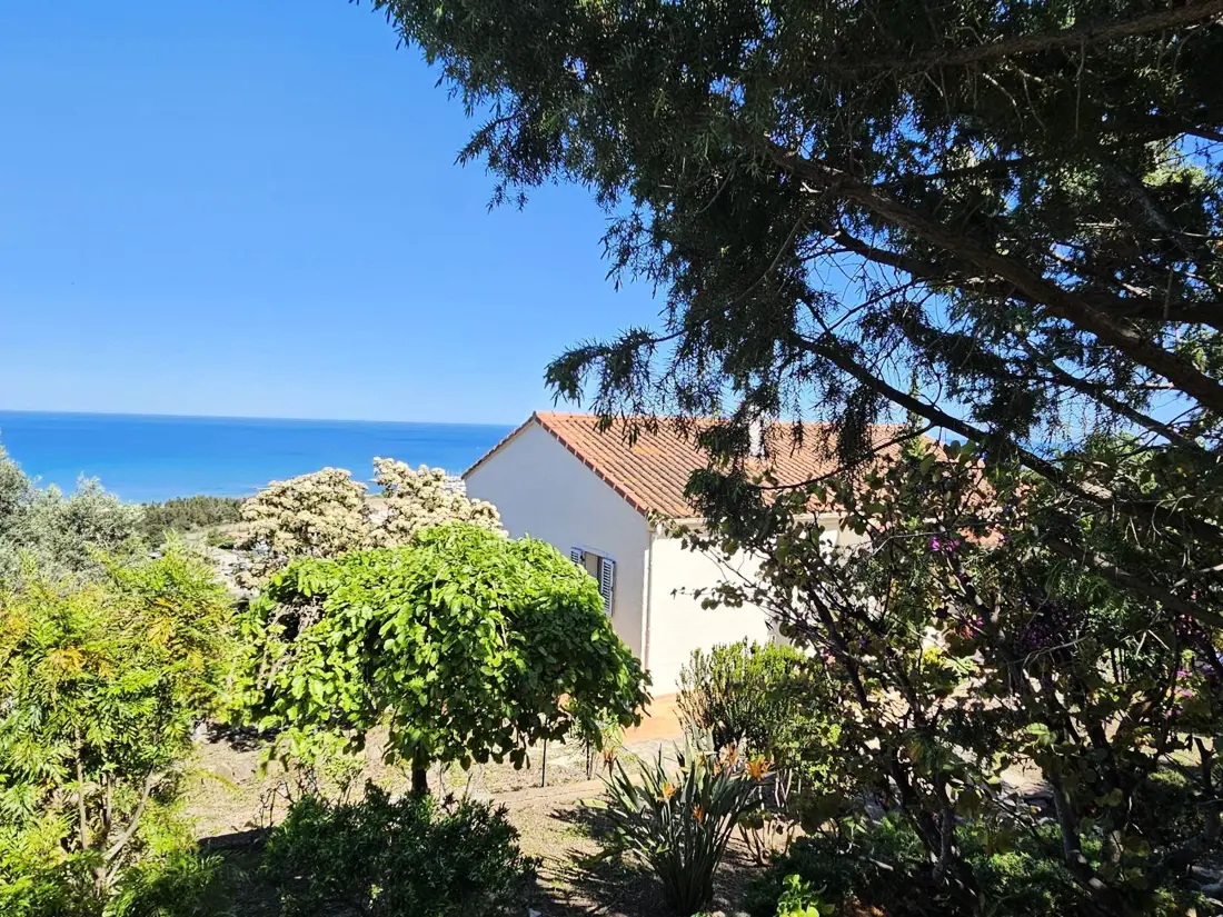 Location de Vacances Sari-Solenzara 49