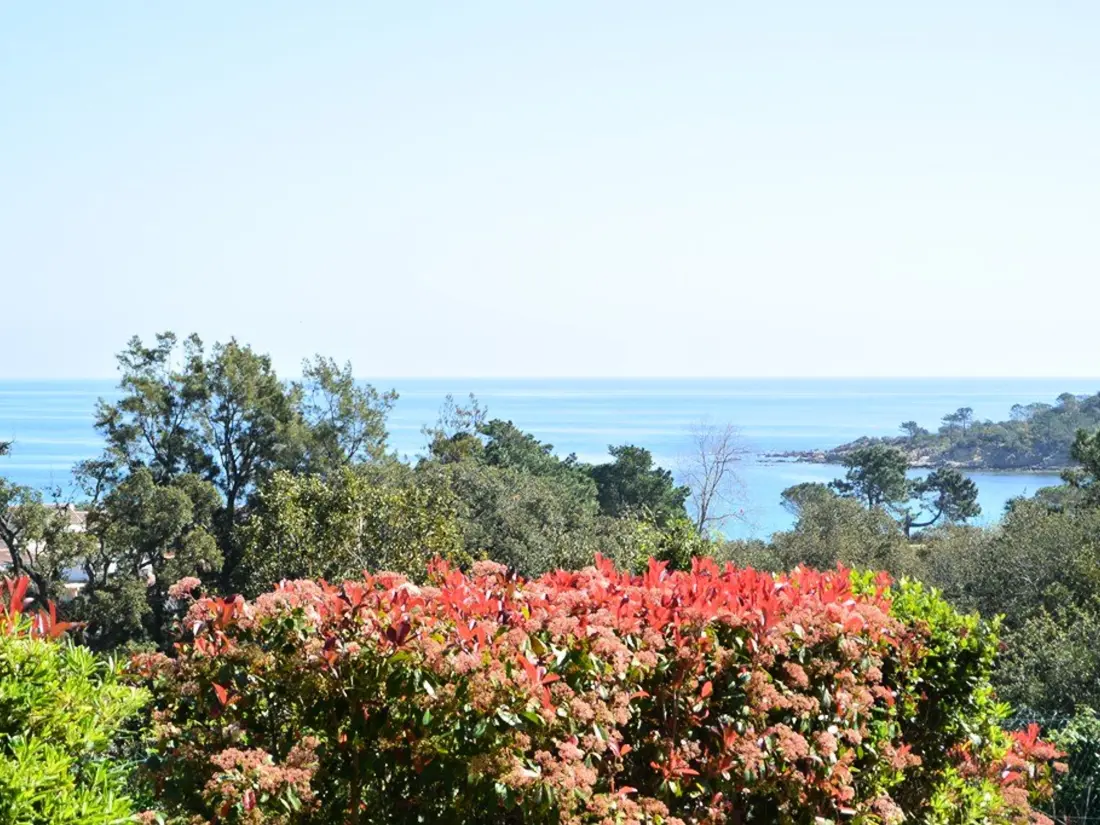 Location de Vacances Sari-Solenzara-Favone 61