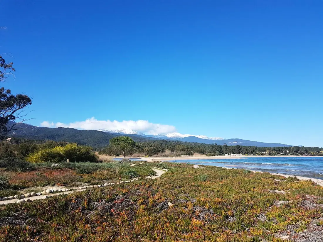 Location de Vacances Sari-Solenzara-Favone 63