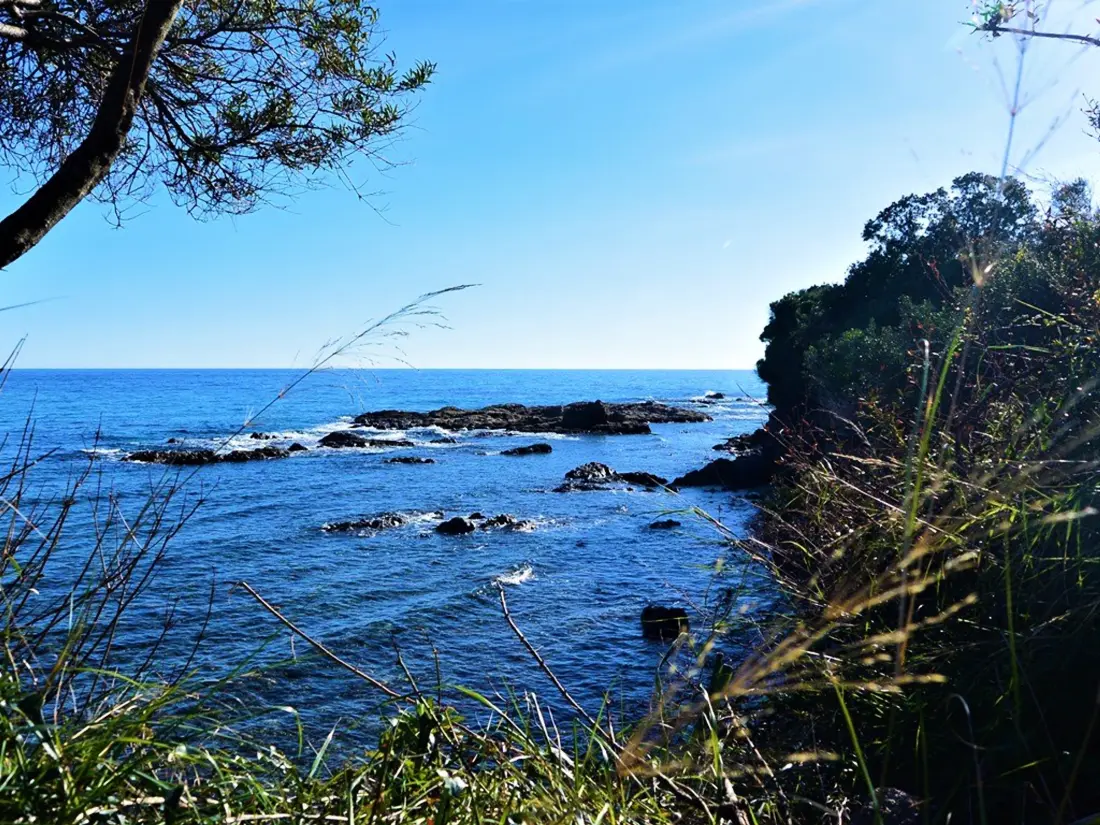 Location de Vacances Sari-Solenzara-Favone 69