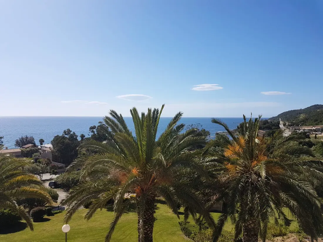 Location de Vacances Sari-Solenzara-Favone 74