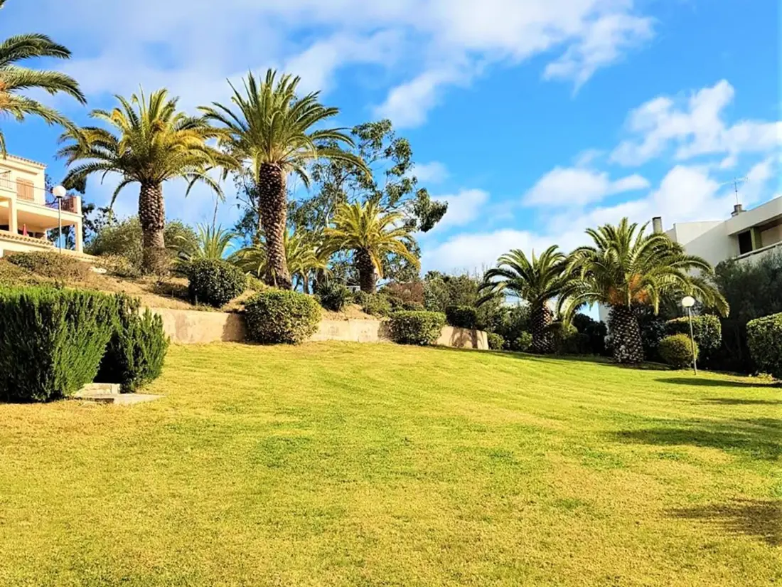 Location de Vacances Sari-Solenzara-Favone 75