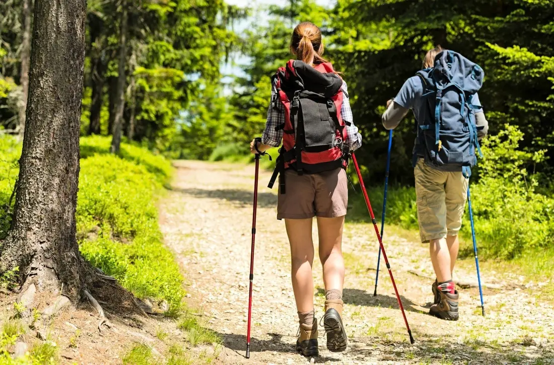 Camping Park Baita Dolomiti Village 3 étoiles★★★